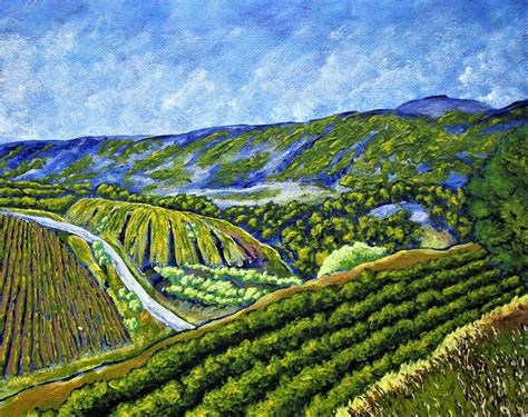 Vineyards Near Nice France : r/wine