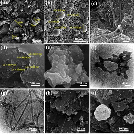 Fe Sem Micrographs Of A Pure Mg B Pure Zn C Fcnts D E Mg Zn