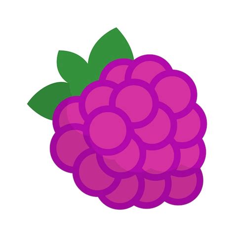 Icono De Fruta De Frambuesas Ilustraci N Vectorial Vector Premium