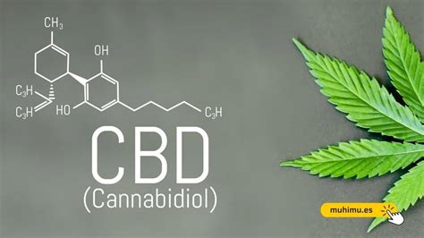 Historia De Uso Del Cbd Muhimu Es