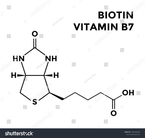 Vitamin B7 Biotin Structural Chemical Formula Royalty Free Stock