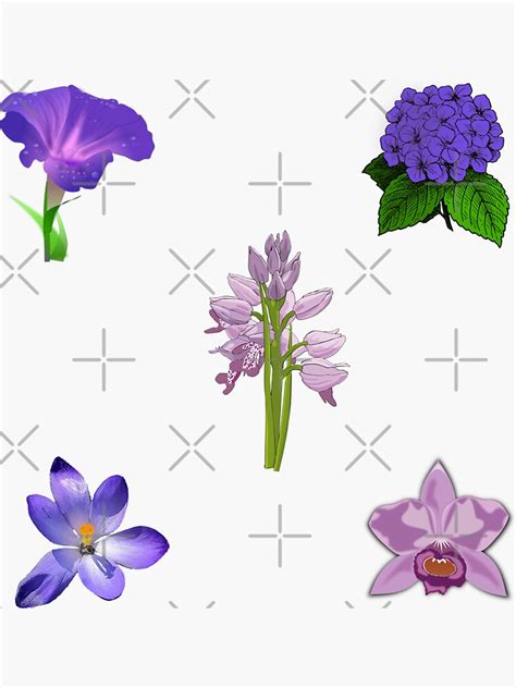 Variety Of Purple Flowers Sticker Pack Sticker For Sale By Idatolen