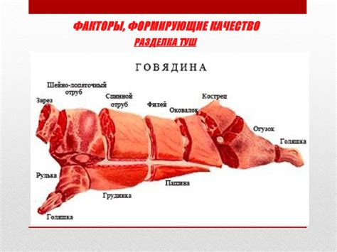 Крестец У Свинины Фото — Картинки фотографии