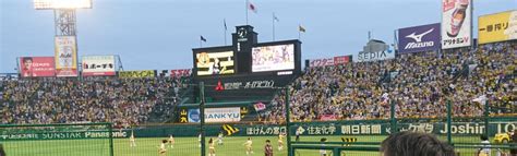 代購代標第一品牌－樂淘letao－5月3祝阪神甲子園球場 阪神vs中日 一塁側アイビーシート 2連番チケット 送料無料 匿名配送 雨天補償