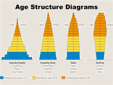 Age Structure Diagram Declining Population Sustentabilidade