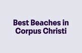 Best Beaches in Corpus Christi