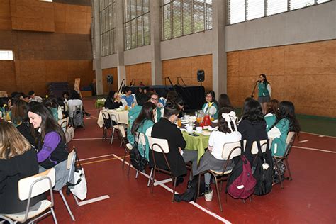 Despedida Y Licenciatura Cuartos Medios Colegio Alicante De La