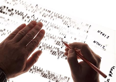 Forensic Dna Analyst Mattison Stephenson