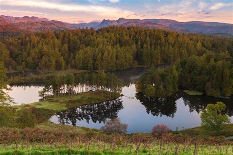 Tarn Hows National Trust Attractions Lake District Hotels Association