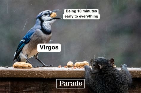 55 Funny Virgo Memes for This Zodiac Season - Parade