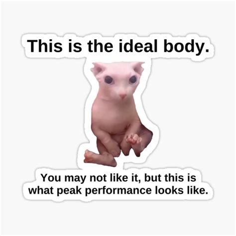 Bingus Ideal Body Funny Hairless Sphynx Cat Humor Parody Sticker For