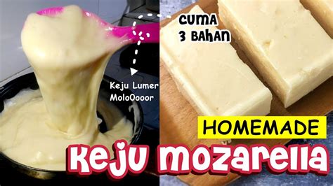 Cara Membuat Keju Mozarella Homemade