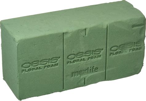 Oasis Floral Products Floral Foam Brick 2 Pack Health