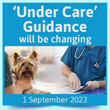 Under Care Guidance The New Rules Fivp Federation Of Independent