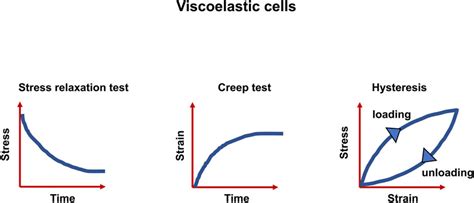 Frontiers Viscoelasticity Acts As A Marker For Tumor Extracellular Matrix Characteristics