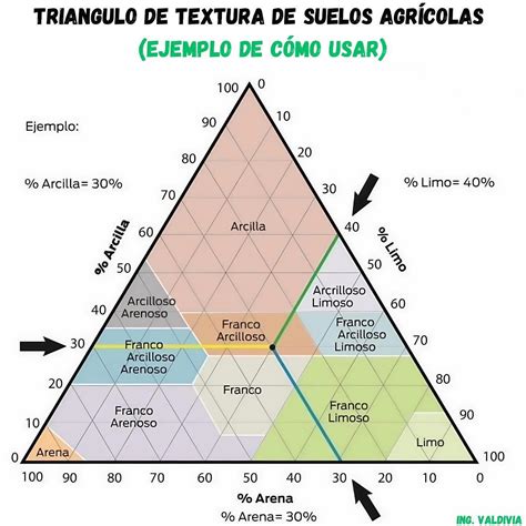 Triángulo De Textura De Suelo Interés Agronómico