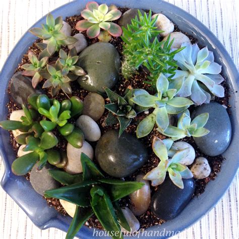 Easy Indoor Succulent Rock Garden • Crafting my Home