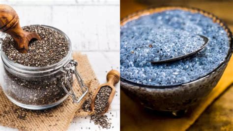 Chia Seeds Vs Sabja Seeds Which Is Healthier Expert Answers