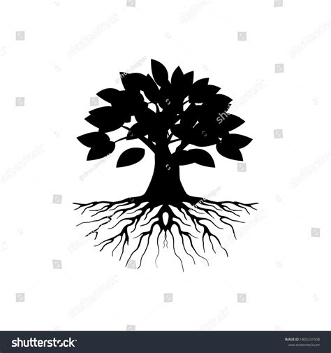 Mangrove Tree Vector Silhouette Black White Stock Vector (Royalty Free ...