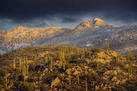 Rincon Mountain Snow The Tucson Gallery