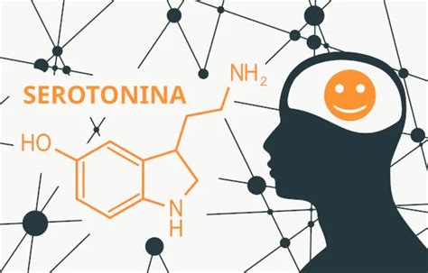 Serotonina Anabol Loja