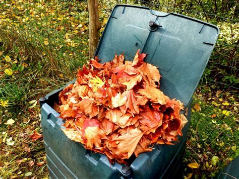 Réutiliser les feuilles mortes 7 conseils et astuces à suivre