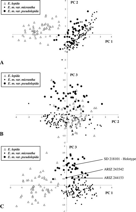 Principal Components Analysis Pca Plots A First Pc1 And Second Download Scientific