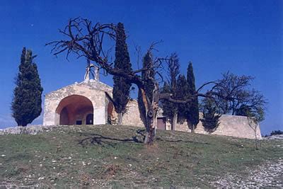 Saint R My De Provence Et Les Alpilles D Gustation D Huile D Olive