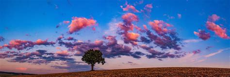 Visit Razgrad: Best of Razgrad Tourism | Expedia Travel Guide