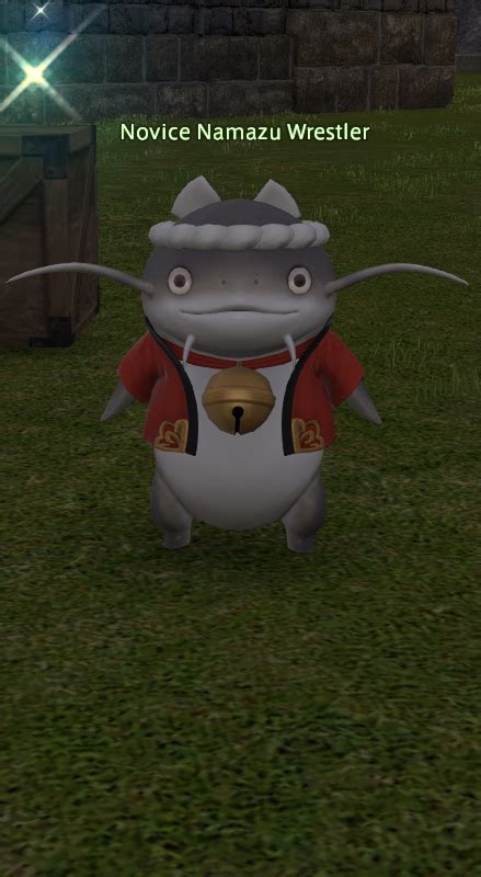 Novice Namazu Wrestler Gamer Escape S Final Fantasy XIV FFXIV FF14