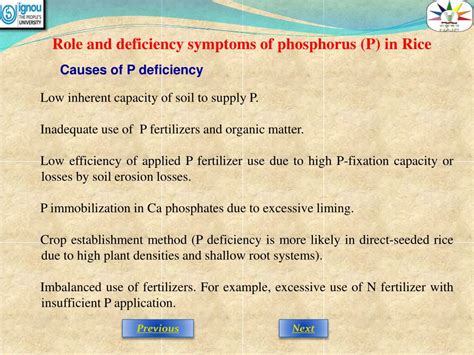 PPT - Role and deficiency symptoms of phosphorus (P) in Rice PowerPoint ...