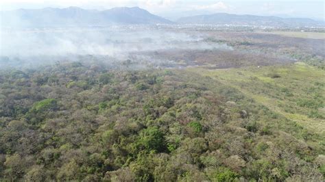 Prensalibrecasanare On Twitter Incendio Forestal Ha Consumido Varias