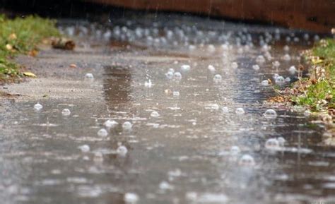 Petricor El Olor De La Lluvia Que Nos Gusta Tanto Canal Verte