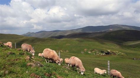 Scenery Of Dahaicao Mountain In Southwest Chinas Yunnan Cn