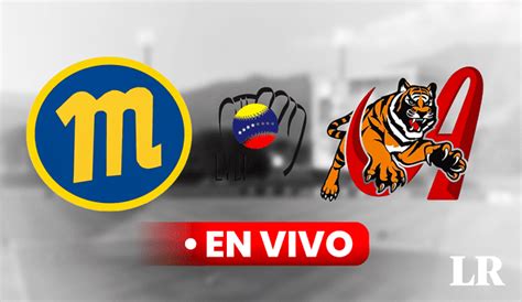 Magallanes vs Tigres EN VIVO a qué hora y dónde ver el juego GRATIS