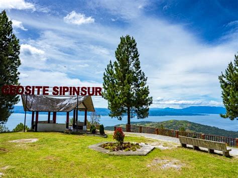 Menikmati Keindahan Hutan Pinus Di Tepi Danau Toba Sipinsur Park