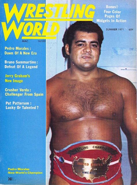 Summer Pedro Morales Pat Patterson Bruno Sammartino Wrestling