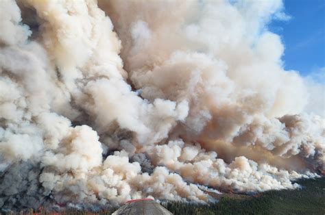 Canada S First Wildfire Cat Of Fort Nelson B C On The Brink