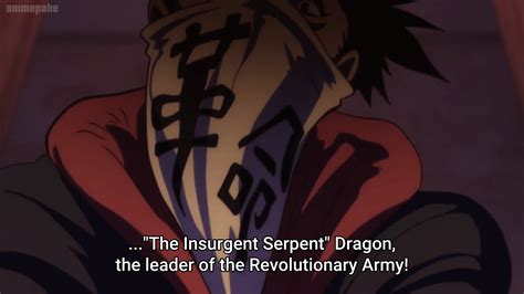 One Piece Monkey D Dragon Devil Fruit