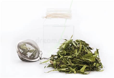 Stevia Stock Photo Image Of Stevia Dried Infusion 80207436