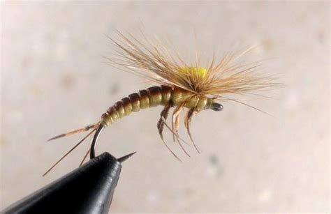 Uh Mayfly Emerger Coldwater Species Fly Tying