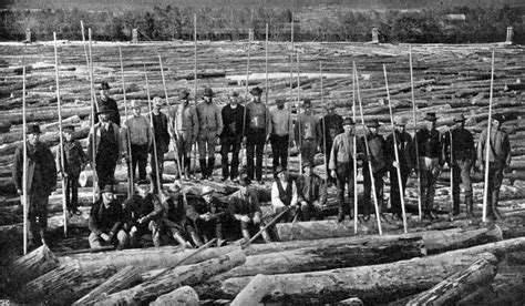 Swedish River Logging