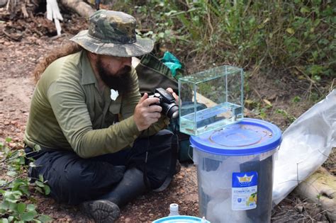 Un Pez Capaz De Sobrevivir Fuera Del Agua As Es La Nueva Especie Que