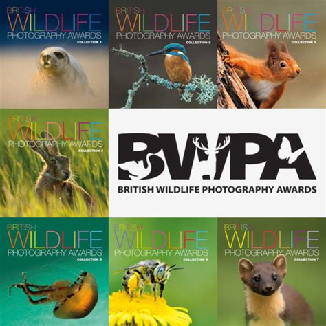 British Wildlife Photography Awards 2017 - Photo Contest Guru