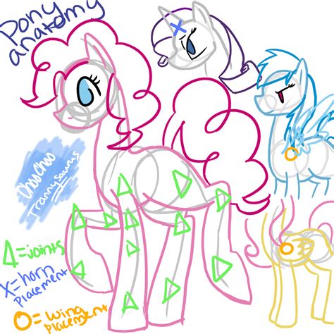 Pony Anatomy sorta by ChoochooTrannysaurus on DeviantArt