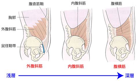 腹横筋トレーニング（鍛え方）！ドローインを中心に解説します。