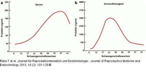 Abbildung Prolaktin