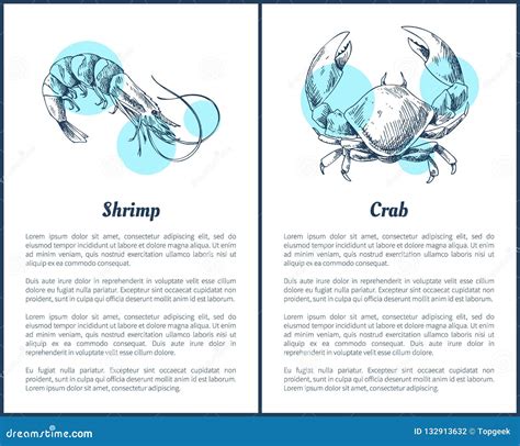 Crustacean Vector Crab Prawns Ocean Lobster And Crawfish Or Crayfish