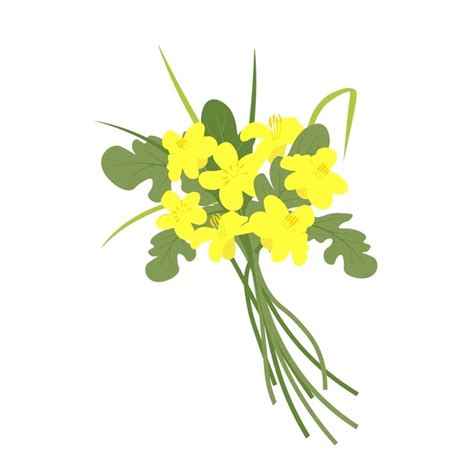 9 Brassica Campestris Flowers Royalty-Free Images, Stock Photos ...