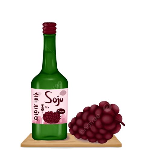 Korean Soju Soju Draw Soju Illustrator Soju Bottle Png Transparent